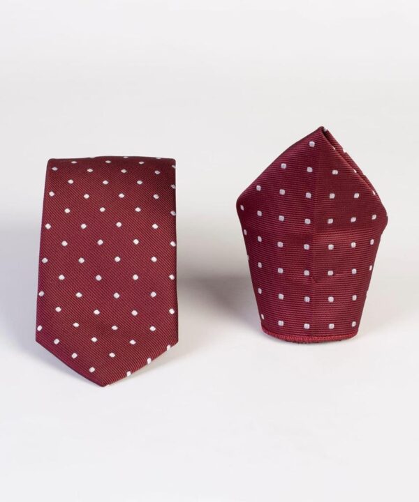 Classic Polka-dot Tie