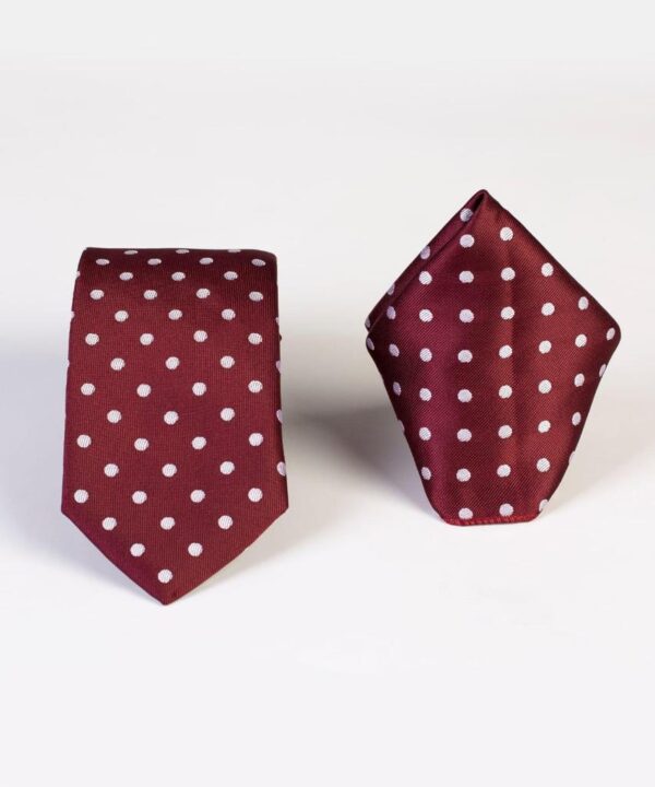Classic Polka-dot Tie
