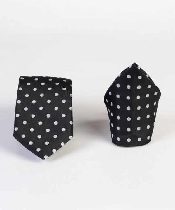 Classic Polka-dot Tie