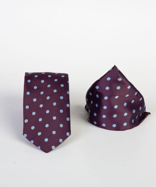 Classic Polka-dot Tie